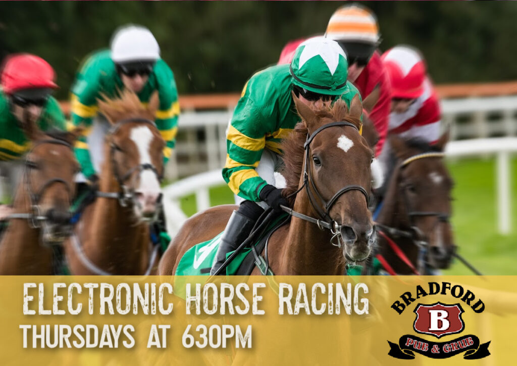 Electronic Horse racing at Bradford Pub n Grub in Cambridge MN